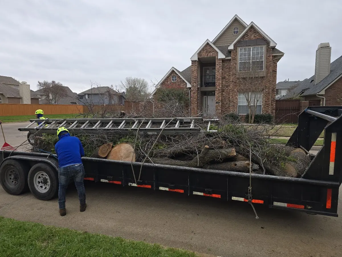 Expert Lot Clearing with proper safety equipment in Miami